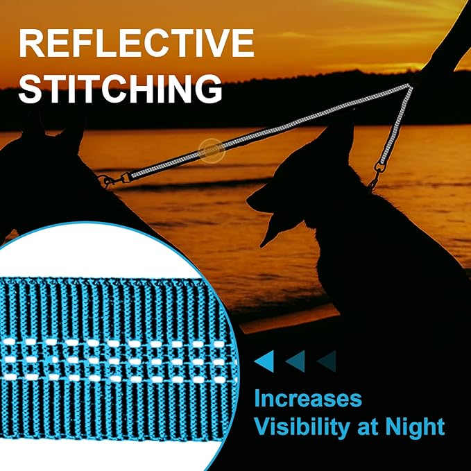 MingXpet Double Dog Leash for Two Dogs, No Pull Dog Leash, 360° Swivel No Tangle for Large Dogs Walking & Training, Shock Absorbing Reflective Bungee, Blue