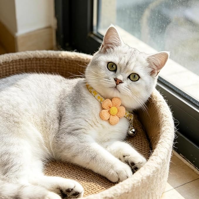 PUPTECK Cat Collar Breakaway with Bells, Kitten Collar Outfit Adjustable for Girl Boy Small Pet Puppy Bunny, Cute Costume Accessory with Safety Release Buckle (Sticker-Flowers)