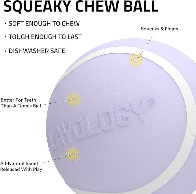 Playology Dog Toys | Squeaky Chew Ball for Large Dogs | Lamb Scented Jumbo Dog Ball | Bouncy Floating Chew Toys for Fetch