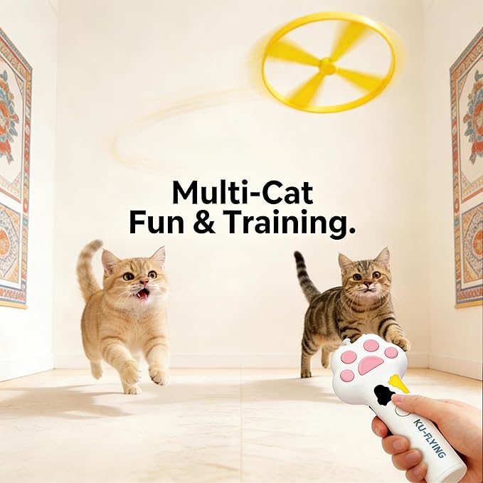 10Pcs Cat Toy Flying Discs, Interactive Cat Fetch Toy for Indoor Cats, Chasing Hunting Training Toys for Kittens & Adult Cats（10Pcs）