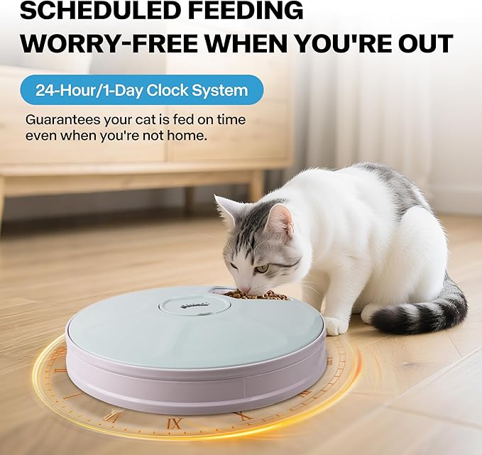 PAWISE Automatic Cat Feeder for Wet and Dry Food, 6-Meal Timed Pet Food Dispenser with Programmable Timer, Auto Dog Feeder Station for Small Pets, Battery Operated Cat Treat Dispenser