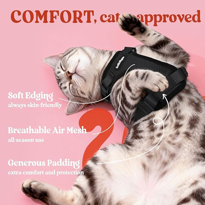 rabbitgoo Cat Harness and Leash Set, Escape Proof Vest Harness for Safe Outdoor Walks, Soft Breathable Adjustable Vest with Reflective Strips for Small and Average Cats, Black, S