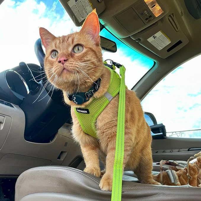 Best Pet Supplies Voyager Step-in Air All Weather Mesh Harness and Reflective Dog 5ft Leash Combo with Neoprene Handle, for Small, Medium and Large Breed Puppies - Set (Lime Green), XXX-Small