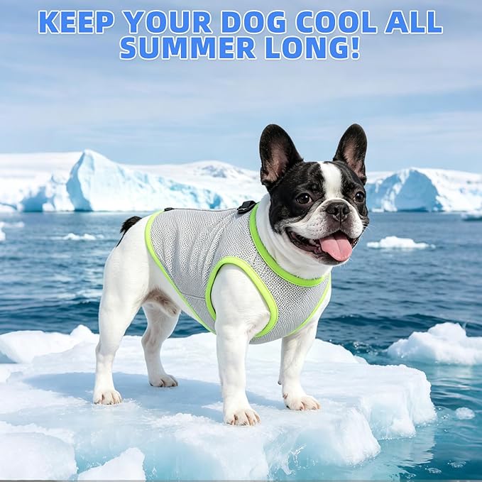 KOOLTAIL Dog Cooling Vest, Sun Protection Easy on off Cooling Pet Shirt Harness with Zipper & Leash Ring, Breathable Summer Quick Dry Clothes, Relief in Hot Weather for Small Medium Large Dogs, Grey S