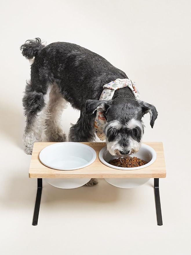 LE TAUCI PET Elevated Dog Bowls, Raised Dog Bowl Stand with Two 6.5 inch Ceramic Bowl, Non-Slip Puppy Food and Water Bowls, Dogs Feeder for Small and Medium Breed, White