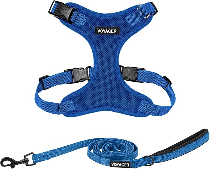 Best Pet Supplies Voyager Step-in Lock Pet Harness w Reflective Pet Leash Combo Set with Neoprene Handle 5ft - Supports Small, Medium and Large Breed Puppies/Cats - Royal Blue Set, M