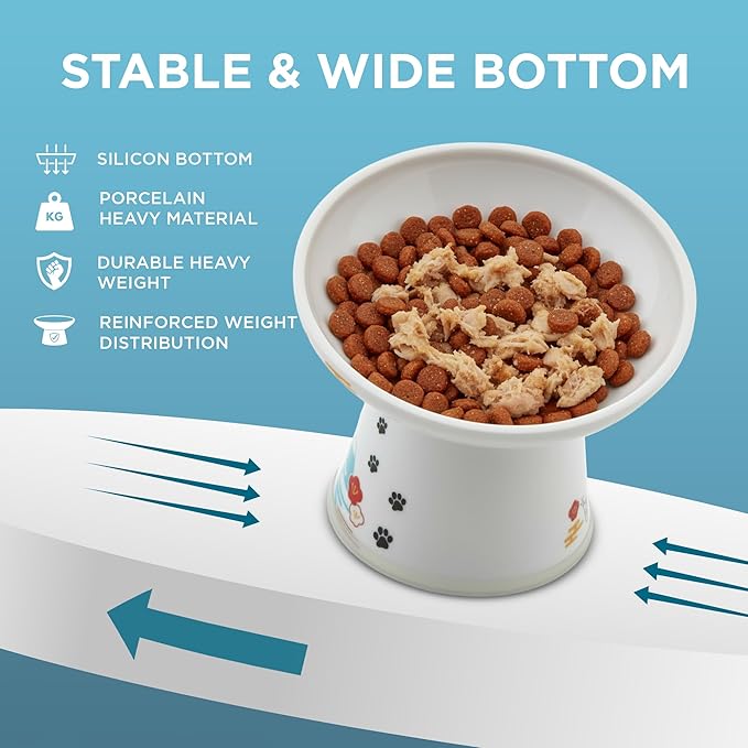 Necoichi Elevated Cat Food Bowl, Ceramic (Porcelain),15° Tilted, Whisker-Friendly, Dishwasher, Microwave Safe, Non-Slip, Anti-Vomiting, Neck Fatigue (Fuji, Extra Wide Tilted, 1.5-Cups Capacity)