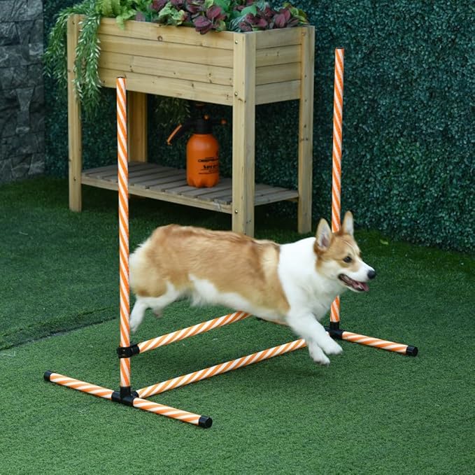 anwickjeff 6 Piece Dog Agility Training Equipment with Hurdle Bag and Whistle,Obstacle Course for Dogs Agility Hurdles Backyard Exercise Competitive (Orange, 6 Piece)