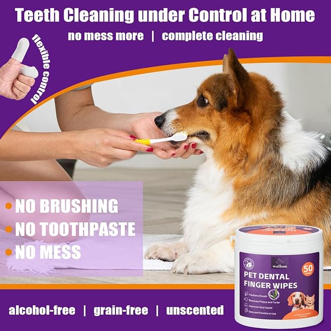 Teeth Cleaning Finger Wipes for Dogs & Cats, Soft Pet Dental Care Wipes, Disposable Pet Tooth Brushing Wipes, Gentle Cleaning & Gum Care Finger Pet Wipes (100 Wipes)