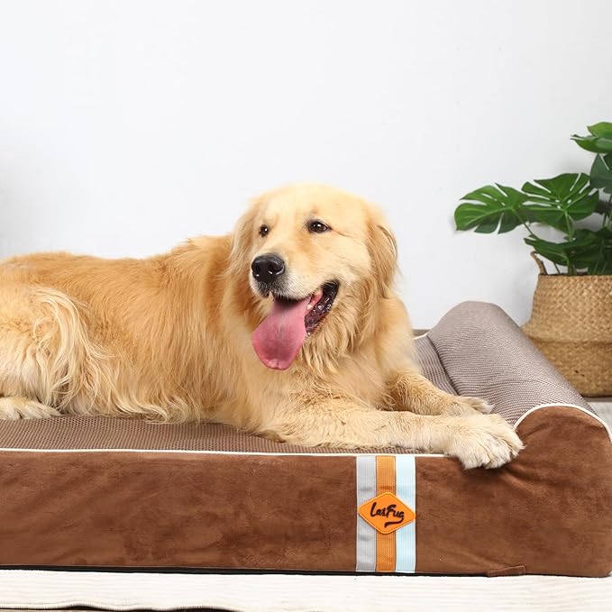 Laifug Orthopedic Memory Foam Extra Large Dog Bed with Pillow and Durable Water Proof Liner & Removable Washable Cover & Smart Design (Jumbo (50"x36"x10"), Chocolate)