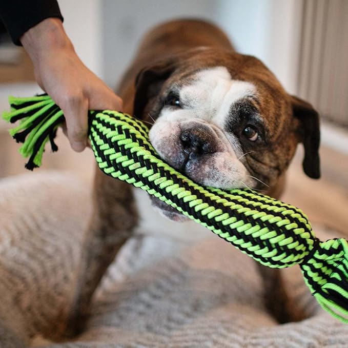 Jolly Pets Knot-N-Chew Tube Squeaker Green/Black Large/x Large, JTJP032