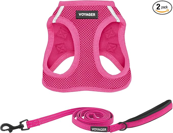 Best Pet Supplies Voyager Step-in Air All Weather Mesh Harness and Reflective Dog 5ft Leash Combo with Neoprene Handle, for Small, Medium and Large Breed Puppies - Set (Fuchsia), Small