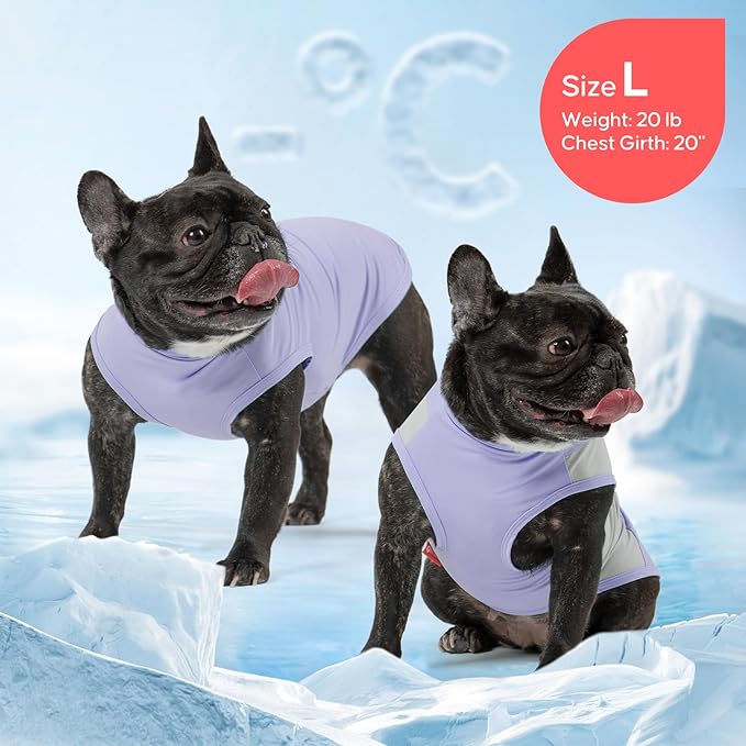 KYEESE 2Pack Dog Cooling Shirt, Breathable Dog Shirt for Small Dogs Girl Boy, Sun Protection Reflective Pet Vest, Lightweight Soft Tank Top Sleeveless Summer Dogs Clothes, Purple, M