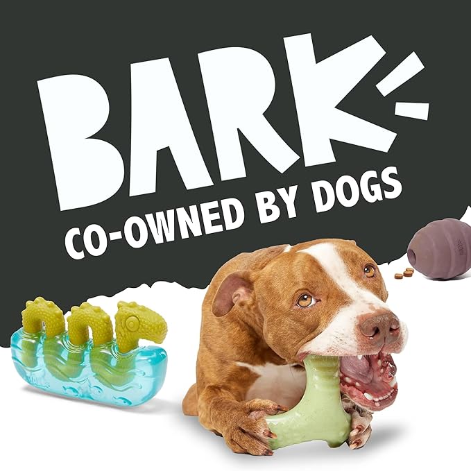 Barkbox Super Chewer Tough Dog Chew Toys for Aggressive Chewers, Treat Dispensing (Comet-Small)