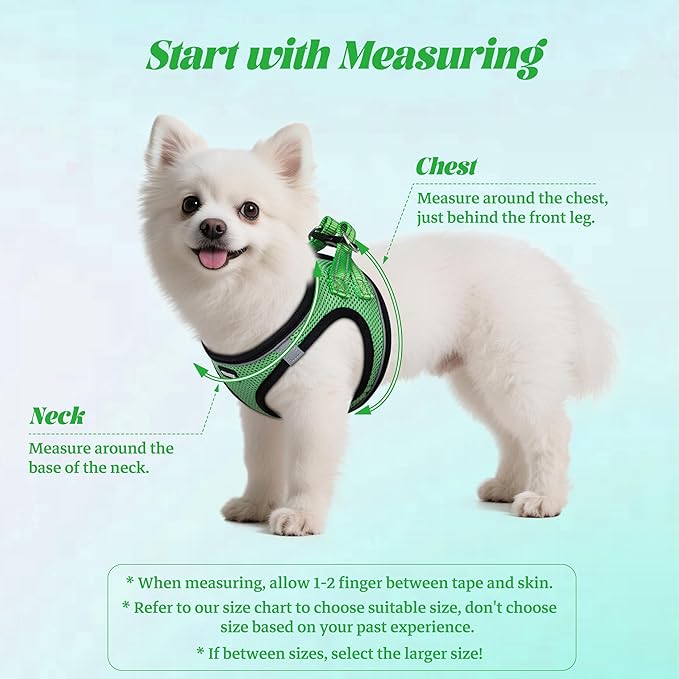 YIMEIS Dog Harness and Leash Set, No Pull Soft Mesh Pet Harness, Reflective Adjustable Puppy Vest for Small Medium Large Dogs, Cats (Grass Green, Medium (Pack of 1)