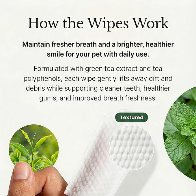 Petscy Dental Finger Wipes for Dogs and Cats – No Brush Teeth Cleaning Wipes for Fresh Breath & Oral Care – Green Tea & Tea Polyphenols – Fragrance-Free Pet Oral Cleansing - 50 Wipes