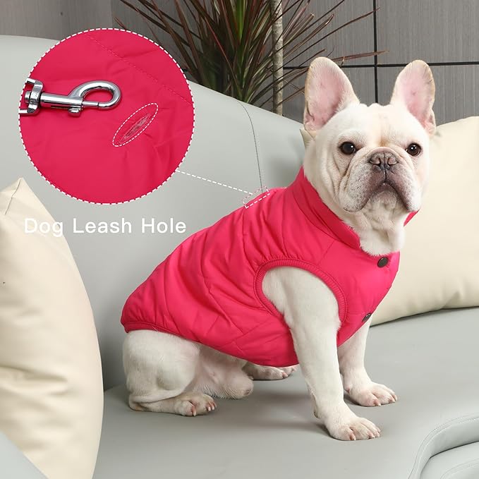 JoyDaog 2 Layers Fleece Lined Warm Dog Jacket for Puppy Winter Cold Weather,Soft Windproof Small Dog Coat,Pink XS