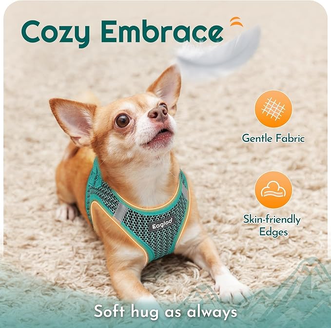 Eagloo Small Dog Harness and Leash Set, Step in Puppy Vest with Breathable Soft Mesh, Walking Reflective Pet Harness for Small Dogs, Forest Green, L