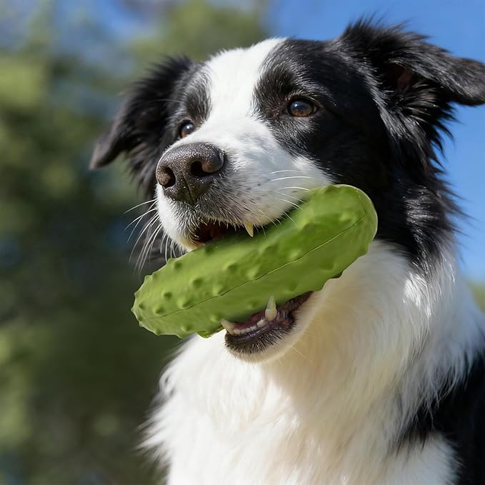 LIFLIX Tough Squeaky Dog Toys, Durable Dog Chew Toy with Natural Rubber, Teething Toys for Medium Large Breeds, Cucumber Pickle Shape