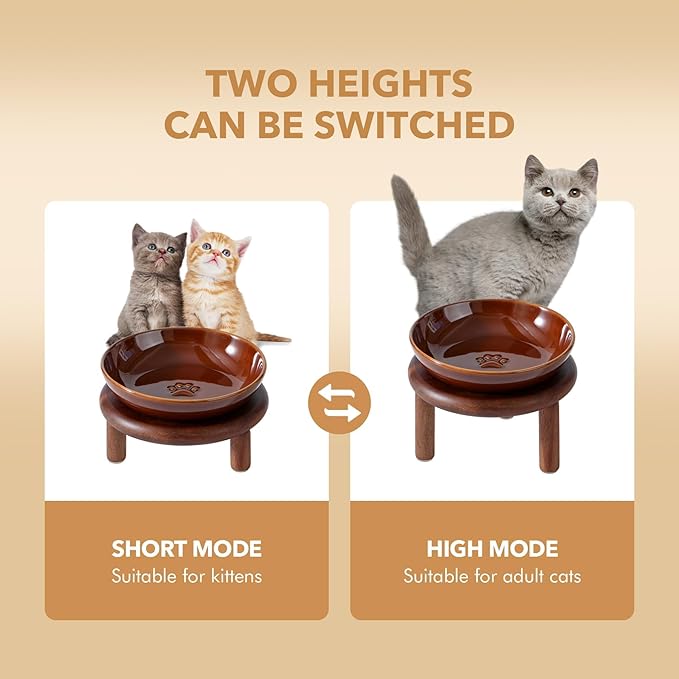 Havniva Elevated Cat Bowls Raised Ceramic Cat Bowl, 5.9” Wide Opening Cat Food Bowl Whisker Friendly Cat Dish Anti-Slip with Wood Stand, Shallow Pet Food & Water Bowl for Indoor Cats
