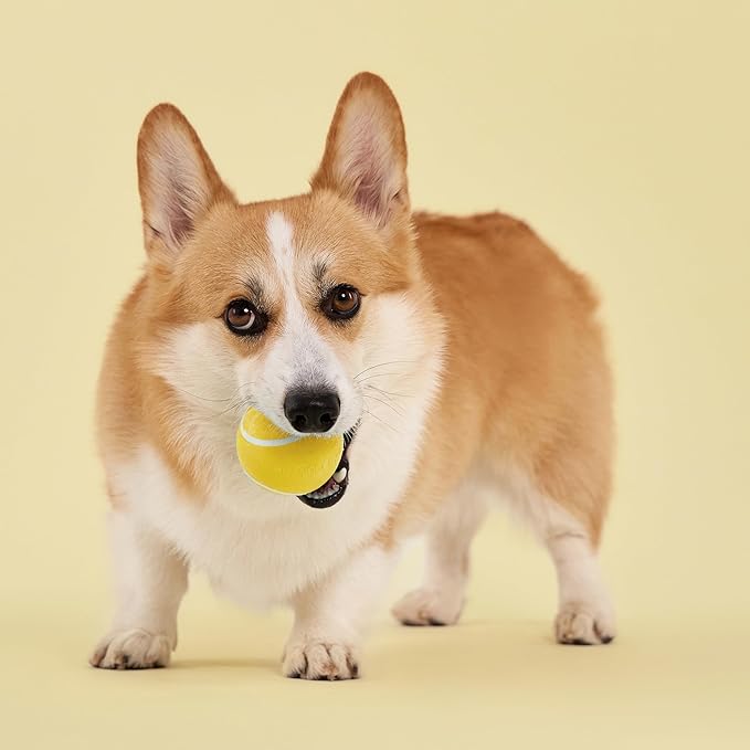 Playology Dog Toys | Squeaky Chew Ball for Dogs | Chicken Scented Medium Dog Ball | Bouncy Floating Chew Toys for Fetch