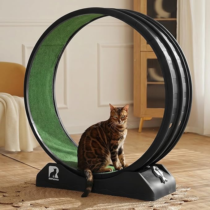 Cat Exercise Wheel, 47.2 Inch Indoor Treadmill for Cats with Carpeted Runway, Screw-Fixed Assembly for Easy Setup, Silent & Safe Fitness Equipment for Most Cats