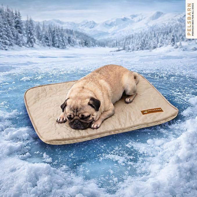 Pelsbarn Dog Cooling Mat- Ice Silk Summer Comfort, Self Cooling, Non-Slip Dog Pad, Durable & Washable, Mat for Small Dogs 18 x 21, Support Shelter Dogs with Every Purchase (Beige)
