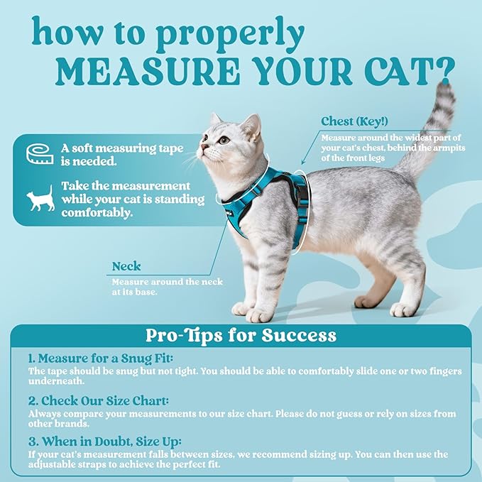 rabbitgoo Cat Harness and Leash Set, Escape Proof Vest Harness for Safe Outdoor Walks, Soft Breathable Adjustable Vest with Reflective Strips for Average to Large Cats, Teal, M