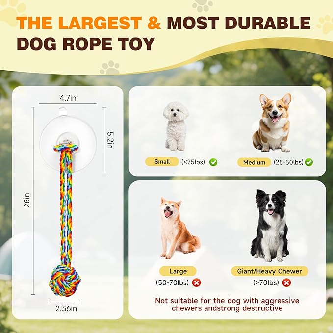 Interactive Dog Toys to Keep Them Busy, Tug of War, Dog Enrichment Toys for Aggressive Chewers, Puppy Teething Toys,Durable Rope & Chew Ball, Indoor Toys Small Dogs，Rainbow