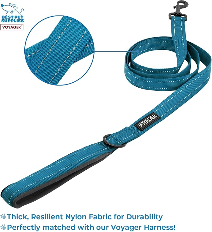 Best Pet Supplies Voyager Step-in Lock Pet Harness w Reflective Pet Leash Combo Set with Neoprene Handle 5ft - Supports Small, Medium and Large Breed Puppies/Cats - Turquoise/Black Trim Set, XXS