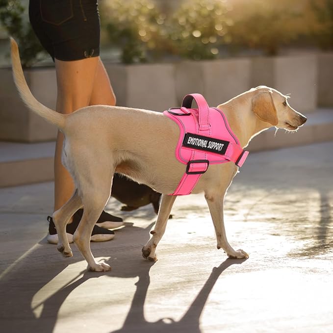voopet Service Dog Harness, Emotional Support Pet Vest Harness, Reflective Breathable & Adjustable No Pull ESA Harness for Small Medium Large Dogs (with 4 PCS Removeable Tags),XX Large (Pack of 1)