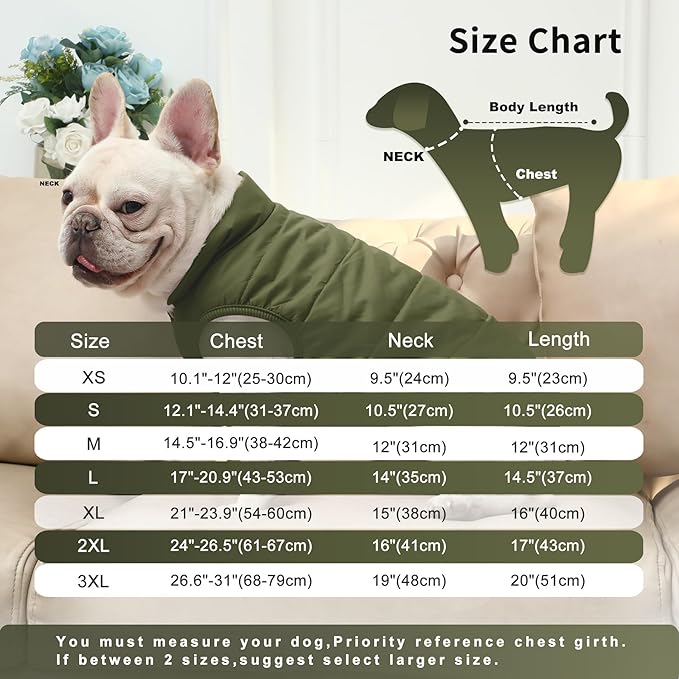 JoyDaog 2 Layers Fleece Lined Warm Dog Jacket for Winter Cold Weather,Soft Windproof Large Dog Coat,Green XXXL