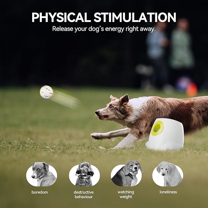 ALL FOR PAWS Automatic Ball Launcher for Dogs, Interactive Puppy Pet Balls Outdoor Thrower for Medium to Large Dogs and six 2.5-inch Tennis Balls Bundle