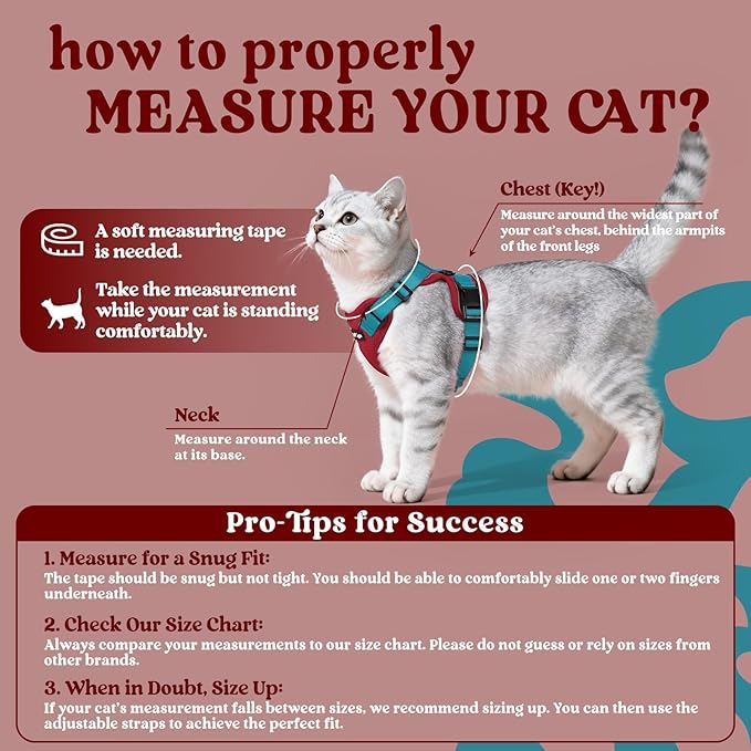 rabbitgoo Cat Harness and Leash Set, Escape Proof Kitten Harness for Safe Outdoor Walks, Soft Breathable Adjustable Vest with Reflective Strips for Kittens and Extra Small Cats, Red & Teal, XXS