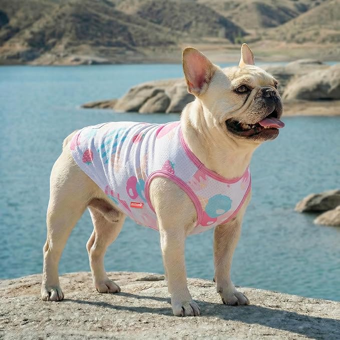 KYEESE 2Pack Dog Cooling Shirt, Breathable Dog Shirt for Small Medium Dogs, Sun Protection Dogs Cooling Vest Tank Top, Lightweight Soft Sleeveless Summer Pet Clothes, Boat+Ice Cream, XL