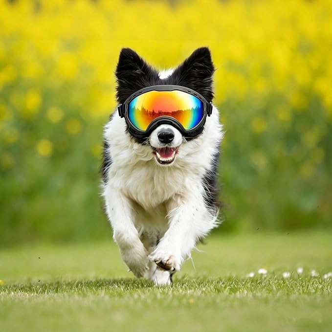 Dog Goggles for Medium to Large Breeds, UV Protection Dog Sunglasses with Colored PC Lens, Soft TPU Frame and Adjustable Straps, Windproof Dustproof Anti-Fog Pet Eyewear for Outdoor Activities (Black)