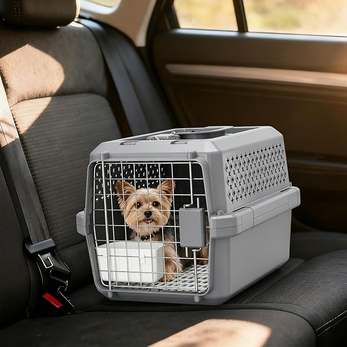 RIZZARI Grey Small Hard Sided Pet Carrier, Portable Ventilated Travel Crate with Metal Door and Handle for Small Dogs and Cats, Perfect for Car Rides, Vet Visits and Daily Use
