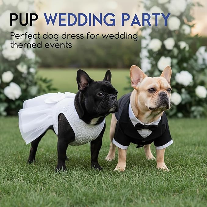 ASENKU Dog Dress Pet Wedding Dress Princess Lace Puppy Birthday Party Outfit Formal Apparel Girl for Large Dogs Cats (2XL, White)