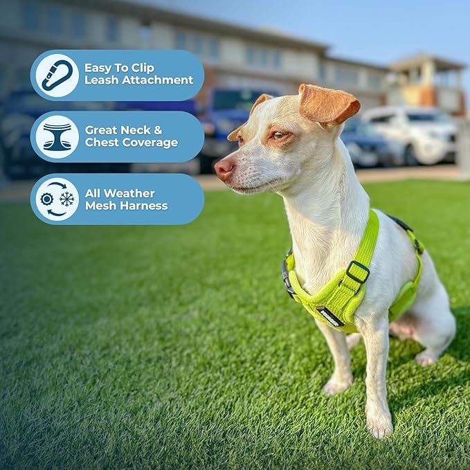 Best Pet Supplies Voyager Step-in Air All Weather Mesh Harness and Reflective Dog 5ft Leash Combo with Neoprene Handle, for Small, Medium and Large Breed Puppies - Set (Lime Green), Small