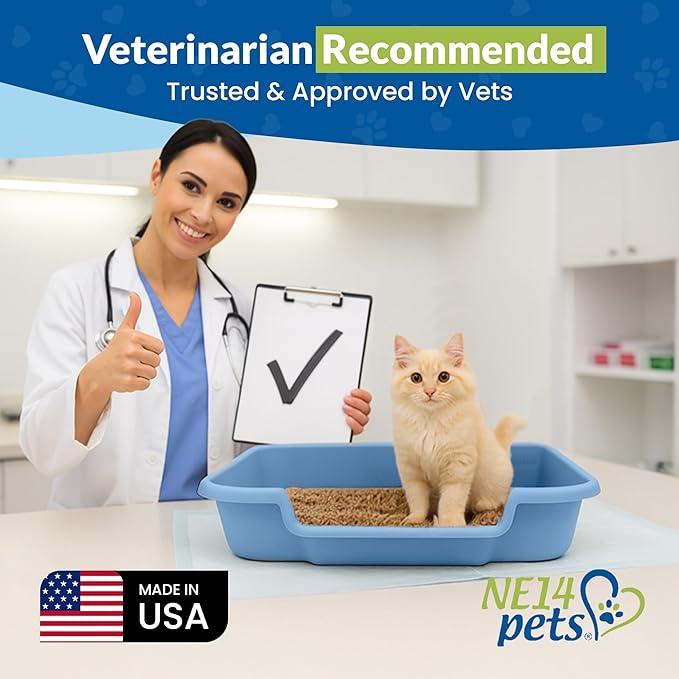 KittyGoHere Senior Cat Litter Box 1 Pack, Large Blue Low Entrance Kitty Litter Box, Sized for Cats Comfort, Perfect for Senior and Arthritic Cats, Made in USA