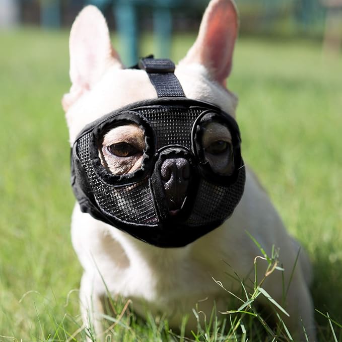 Short Snout Dog Muzzle- Adjustable Breathable Mesh Bulldog Muzzle for Biting Chewing Licking Grooming Dog Mask,Black M