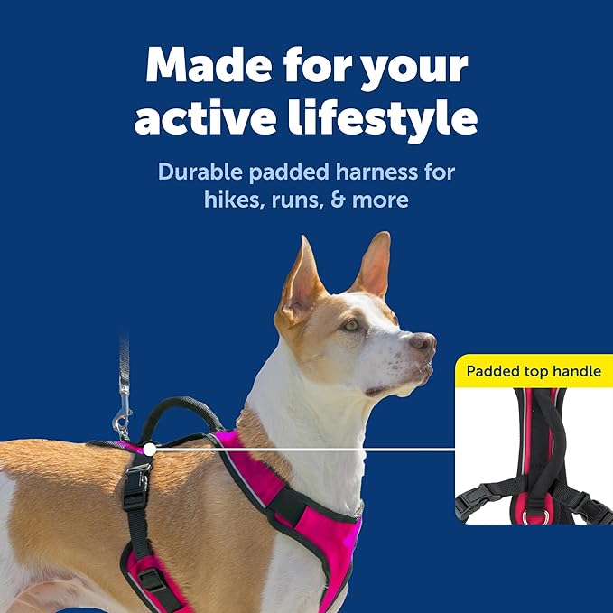 PetSafe EasySport Dog Harness Adjustable Padded Dog Harness with Control Handle and Reflective Piping Medium, Pink