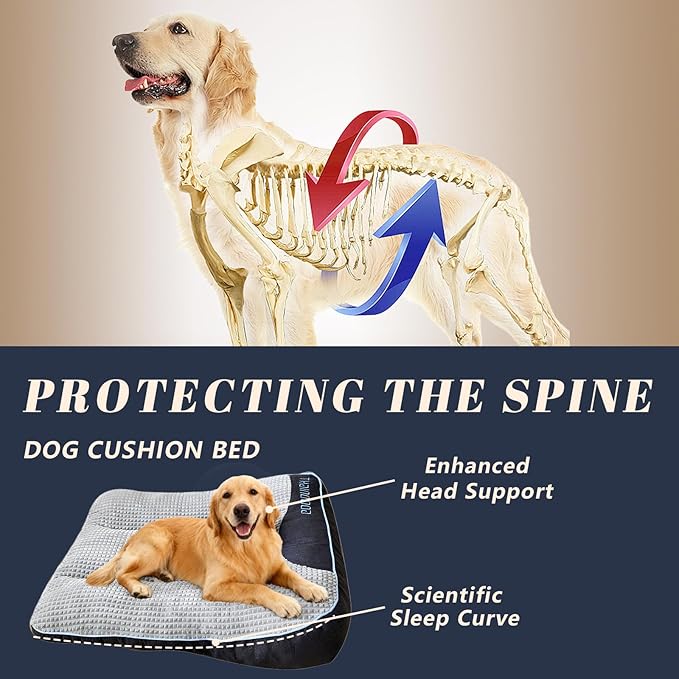 Orthopedic Support Large Dog Bed, 39" x 30" x 8" Contoured Pad, Extra Thick Foam Relieve Joint Pain & Anxiety, Anti-Slip Durable Cushion for Senior Dogs Up to 90 lbs, Grey