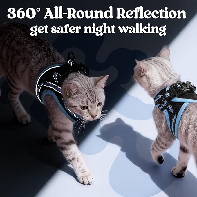 rabbitgoo Cat Harness and Leash, Step-in Escape Proof Kitten Harness Set, Soft Comfortable Cat Vest, Easy to Wear and Adjust, Reflective for Safe Outdoor Walking, Black&Light Blue, Small