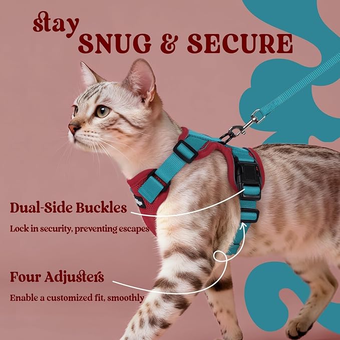 rabbitgoo Cat Harness and Leash Set, Escape Proof Vest Harness for Safe Outdoor Walks, Soft Breathable Adjustable Vest with Reflective Strips for Average to Large Cats, Red & Teal, M