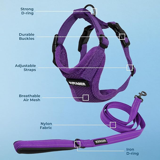 Best Pet Supplies Voyager Step-in Lock Pet Harness w Reflective Pet Leash Combo Set with Neoprene Handle 5ft - Supports Small, Medium and Large Breed Puppies/Cats - Purple, XS