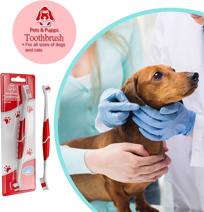 Pet Toothbrush for Dogs, Cats with Soft Bristles - Easy Teeth Cleaning & Dental Care, Non Slip Dual Head Dog Toothbrush for Medium & Large Pets, Toothpaste Not Included (Pack of 2(Red))
