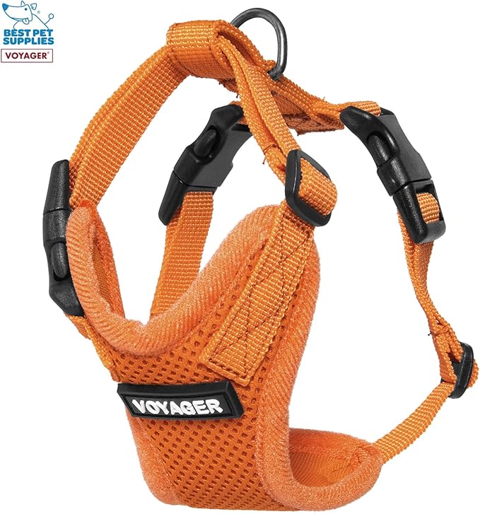 Best Pet Supplies Voyager Step-in Lock Pet Harness w Reflective Pet Leash Combo Set with Neoprene Handle 5ft - Supports Small, Medium and Large Breed Puppies/Cats - Orange Set, XXXS