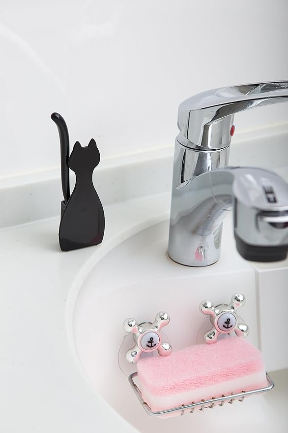 Aiwa Cat Brush & Case