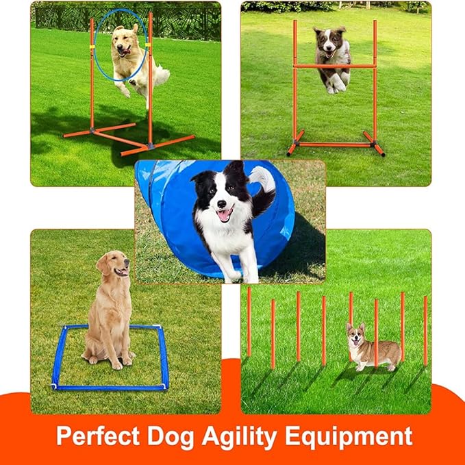 Dog Agility Training Equipment Set, Dog Agility Course Backyard Set Dog Obstacle Course Play Kit with 2 Dog Jump, Hurdle, Blind and Standard Tunnel and Weave Poles for Indoor Outdoor Games